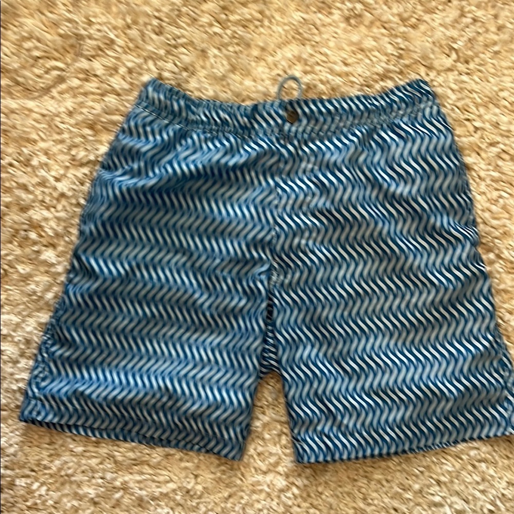 TRUNKS Swim Shorts